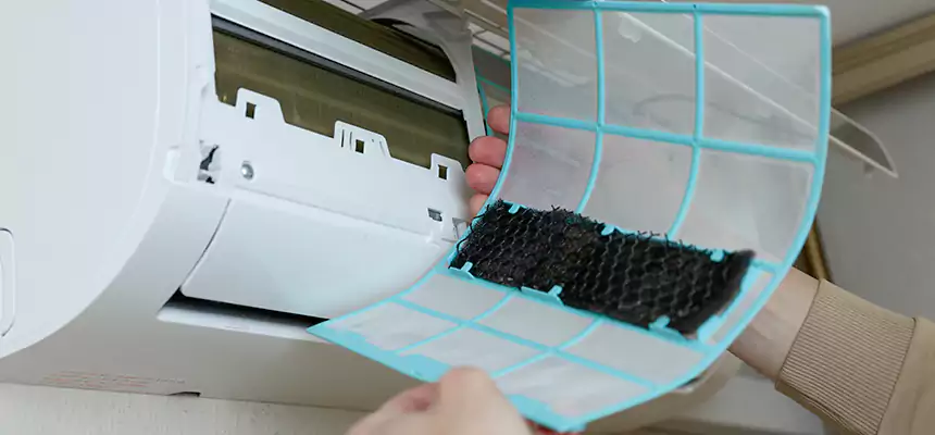 Gentle Ductwork Odor-Control Pet Dander Duct Cleaning in Sarasota, FL