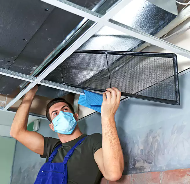 Why Homeowners Businesses Trust Us in Sarasota, FL